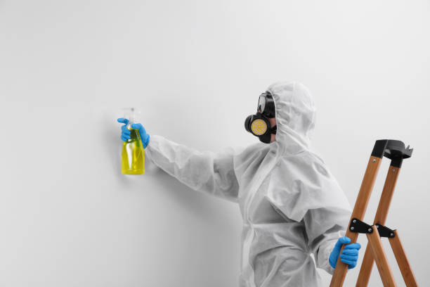 Best Mold Remediation for Rental Properties  in USA